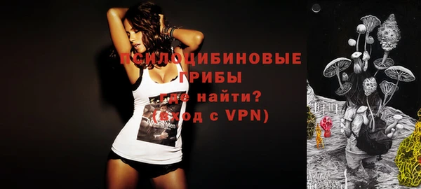 стафф Алексин