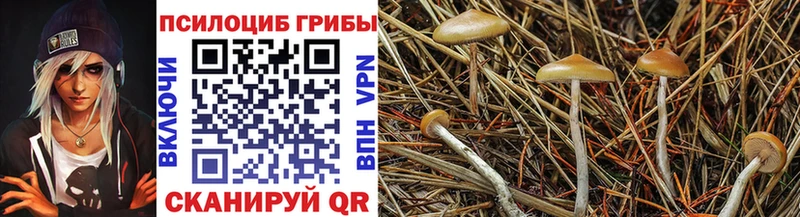 купить закладку  Усть-Лабинск  Галлюциногенные грибы Psilocybe 