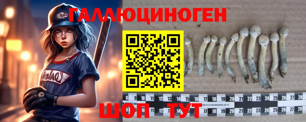 Усть-Лабинск  Псилоцибиновые грибы Psilocybe  Вход с VPN 